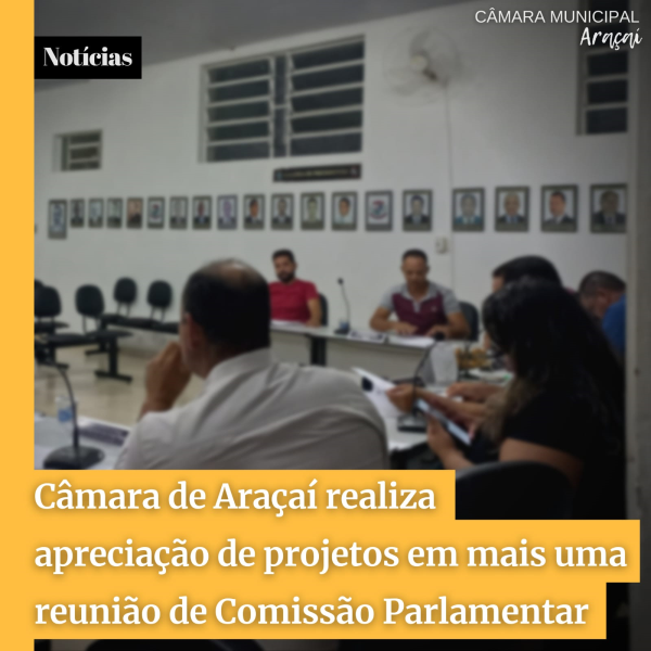 CÂMARA DE ARAÇAÍ REALIZA APRECIAÇÃO DE PROJETOS EM MAIS UMA REUNIÃO DE COMISSÃO PARLAMENTAR